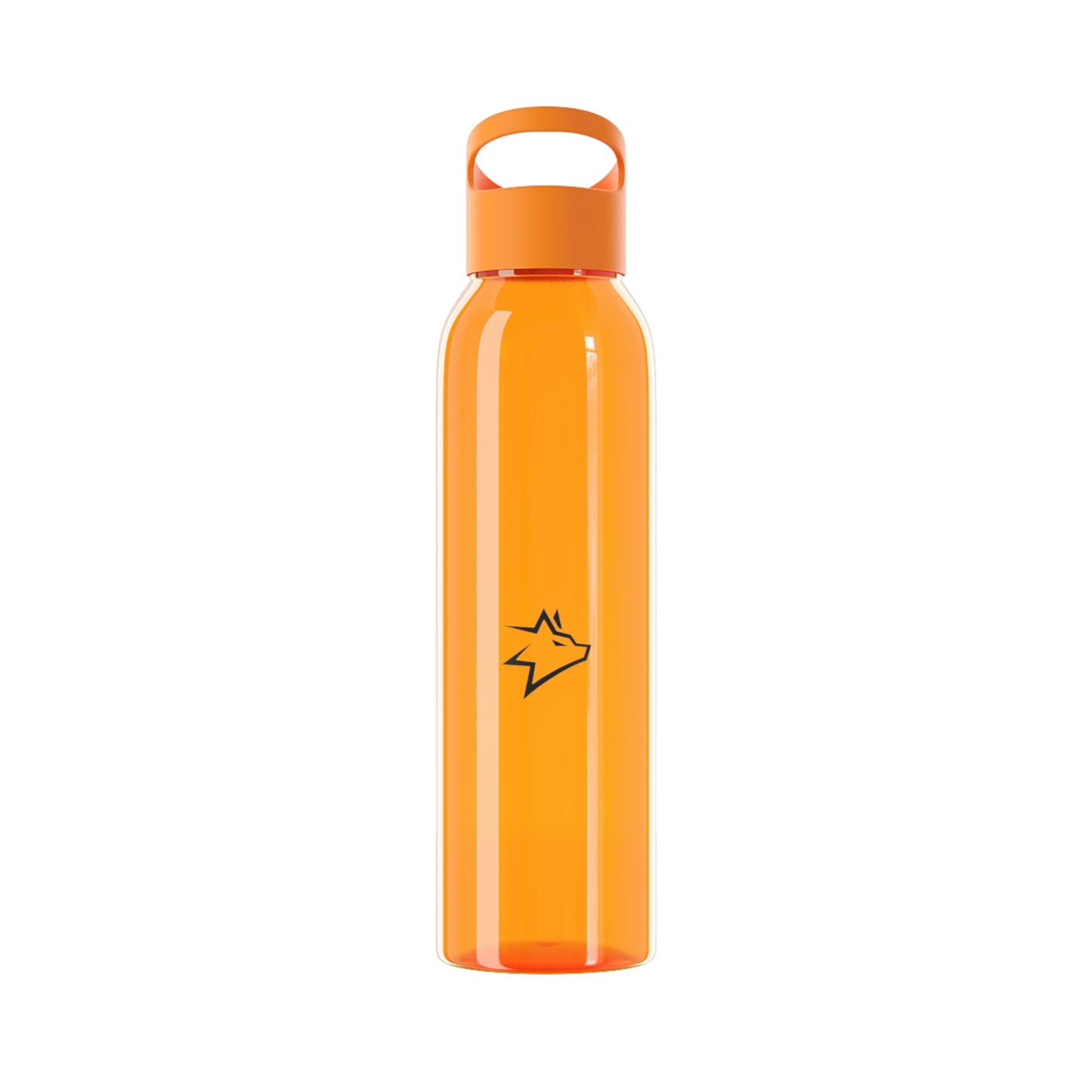 EcoFlow Bottle